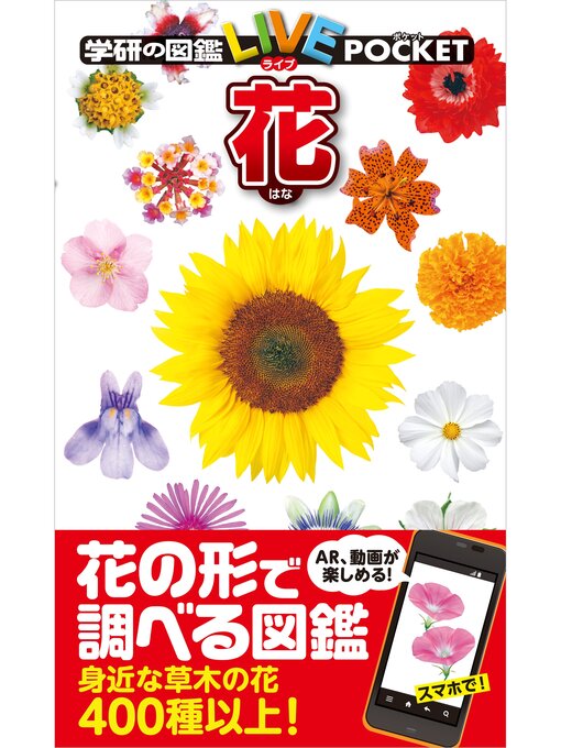 Title details for 花 by 北澤哲弥 - Available